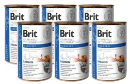 brit-gf-veterinary-diets-recovery-salmon-6x400g-karma-mokra-dla-psa-i-kot