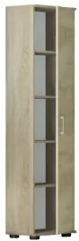 regal-g-40-1d-dab-sonoma-polka-na-ksiazki-i-segregatory