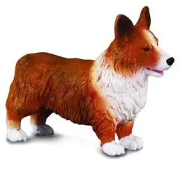 pies-irlandzki-corgie-collecta