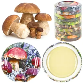 10szt-wieczko-zakretki-do-sloikow-fi-66-4-zaczepy-wieczka-nakretki-grzyby