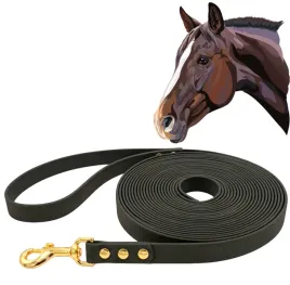 lonza-dla-konia-do-pracy-z-koniem-wodoodporna-czarna-500cm-5m-tasma-2cm