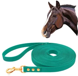 lonza-dla-konia-do-pracy-z-koniem-wodoodporna-zielona-500cm-5m-tasma-2cm