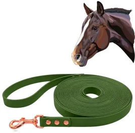 lonza-dla-konia-do-pracy-z-koniem-wodoodporna-oliwkowa-500cm-5m-tasma-2cm