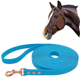 lonza-dla-konia-do-pracy-z-koniem-wodoodporna-niebieska-500cm-5m-tasma-2cm