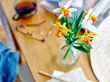 legor-botanicals-40747-zonkile-wiek-dziecka-8-lat