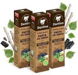 3x-pasta-do-zebow-z-kora-brzozy-bez-cukru-i-fluoru-dentino-100ml