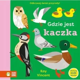gdzie-jest-kaczka-zielona-sowa