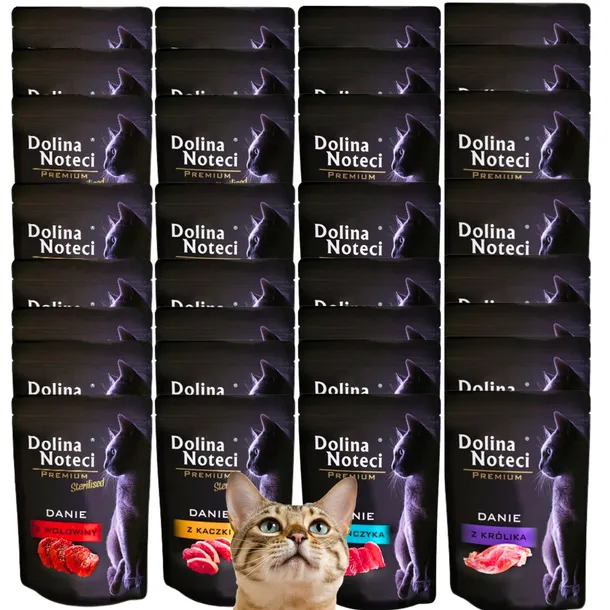 Dolina Noteci DANIE KOT Mix smaków 40x85g