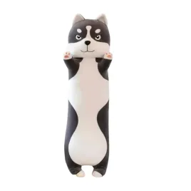 duza-pluszowa-maskotka-70cm-husky