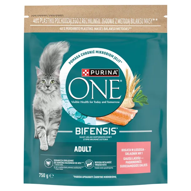 PURINA Sucha Karma dla Kota Łosoś i Pszenica ONE Adult KAMIEŃ NAZĘBNY 750g