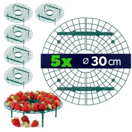 5x-stojak-na-truskawki-30cm-podpora-truskawek-poziomek-czyste-zdrowe-owoce