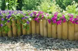rolborder-7x30x180-cm-stan-nowy