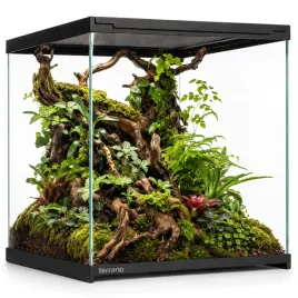 terrario-frevo-clear-terrarium-30x30x30cm-terrarium-szklane