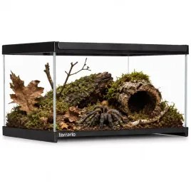 terrario-frevo-clear-terrarium-30x20x17cm-terrarium-szklane