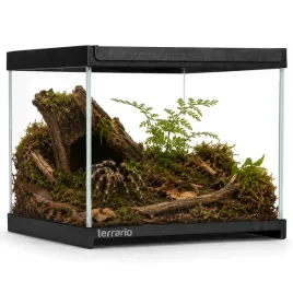 terrario-frevo-clear-terrarium-20x20x17cm-terrarium-szklane