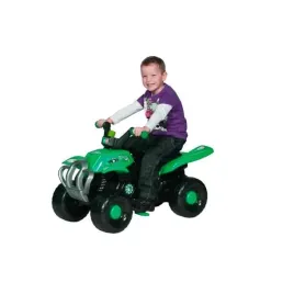 nd35-79339-zab101g-quad-zielony
