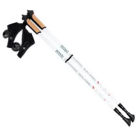 nd05-k1825-kijki-nordic-walking-long-life-lite-sm