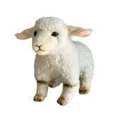 owca-23cm-dubi