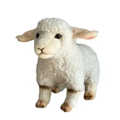 owca-23cm-dubi