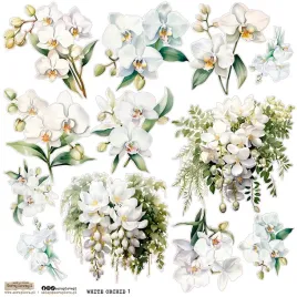 naklejki-papierowe-24x24-scraplove-white-orchid-1-biala-orchidea