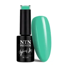 lakier-hybrydowy-ntn-premium-celebration-collection-5g-nr-163