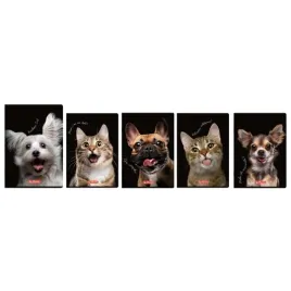 zeszyt-a5-80k-kratka-crazy-animal-herlitz