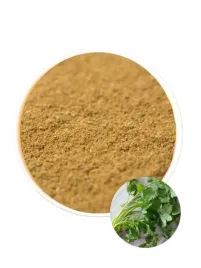 kolendra-mielona-w-proszku-przyprawa-do-hummus-100g