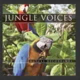 jungle-voices-cd-cd-contact