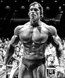 plakat-arnold-schwarzenegger-kulturysta-90x60-cm
