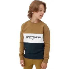 bluza-chlopieca-bez-kaptura-4f-jaw23tswsm630-zlota