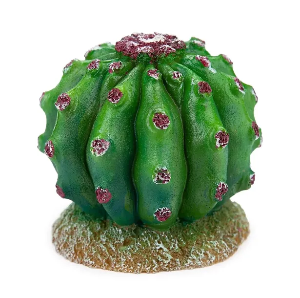 happet-ozdoba-kaktus-do-terrarium