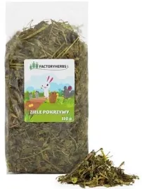 factoryherbs-pokrzywa-dla-krolikow-i-gryzoni