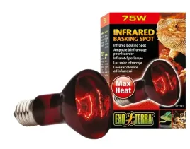 exo-terra-zarowka-grzewcza-infrared-basking-spot-r20-75w-do-terrarium