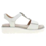 123351504