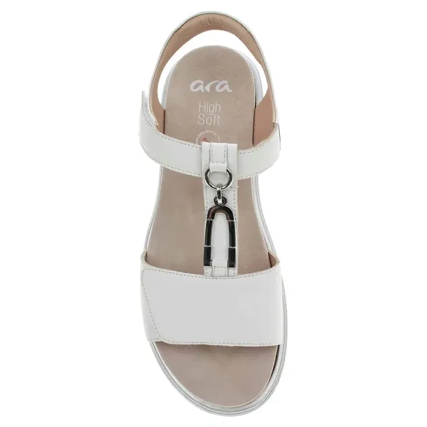 123351504-kod-producenta-123351504-marka-ara