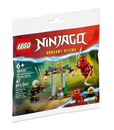 lego-ninjago-polybag-kai-and-rapton-s-temple-battle-30650