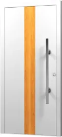 drzwi-aluminiowe-drzwi-wejsciowe-do-domu-an12