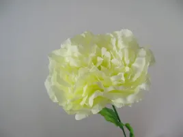 cytrynowo-kremowa-kanarkowa-piwonia-galazka