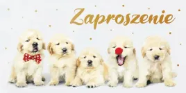 zaproszenie-dzieciece-z139-5szt