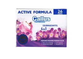 gallus-professional-proszek-26-pran-13kg-color