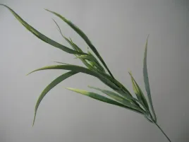 galazka-dekoracyjna-trawa-bialo-zielona