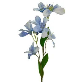 liliowiec-pojedynczy-blekitny