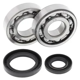lozyska-walu-korbowego-z-uszczelniaczami-all-balls-suzuki-rm-250-86-88