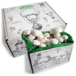 pieczarka-biala-grzybnia-do-uprawy-domowej-5-kg-firmy-smaki-na-boczniaki