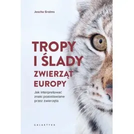tropy-i-slady-zwierzat-europy-jak-interpretowac-znaki-pozostawiane-przez-z
