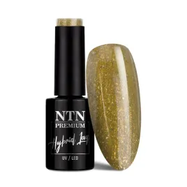 lakier-hybrydowy-ntn-premium-celebration-collection-5g-nr-170