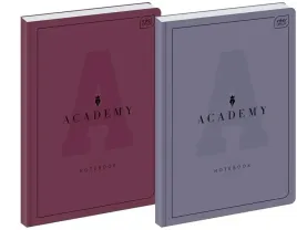 brulion-a4-96k-kratka-academy-5szt