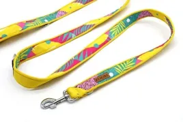 kendog-wakajki-smycz-200cm-3cm