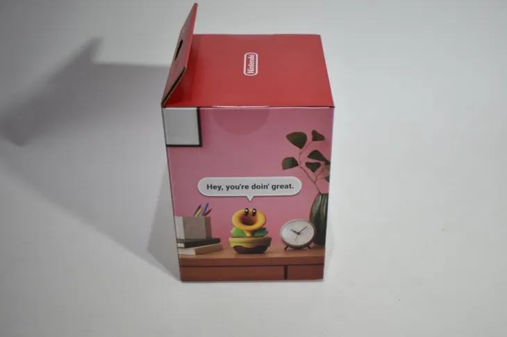 nintendo-talking-flower-typ-inny