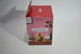 nintendo-talking-flower-typ-inny
